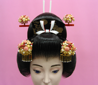 菊